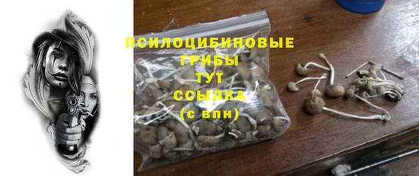 МДПВ Алексеевка