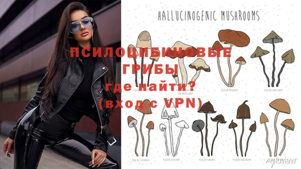 МДПВ Алексеевка