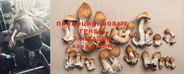 mdpv Алзамай