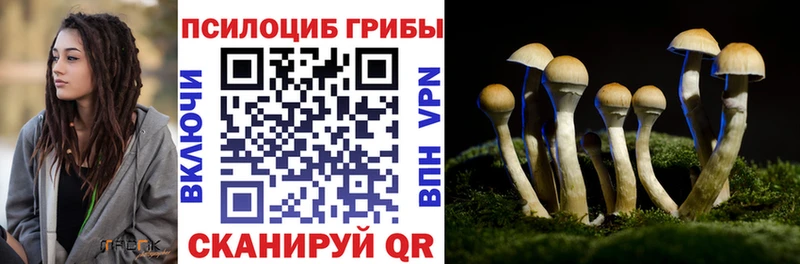 Псилоцибиновые грибы ЛСД  сколько стоит  Камышин 