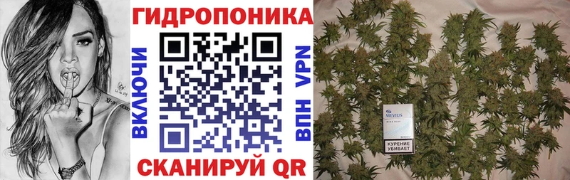 Конопля планчик  мега ТОР  Камышин 